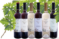 Реклама и интериор